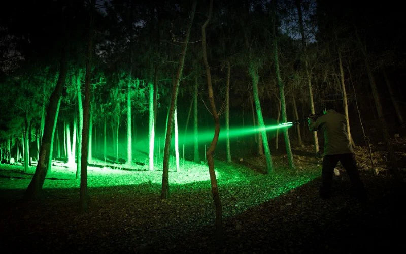 Hunting in the Dark: Why Red and Green Lights Rule the Night