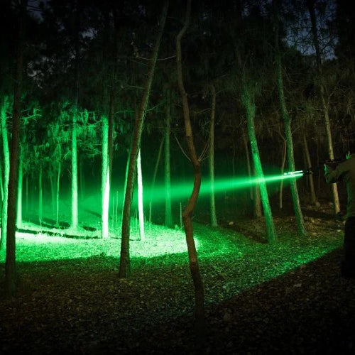Hunting in the Dark: Why Red and Green Lights Rule the Night