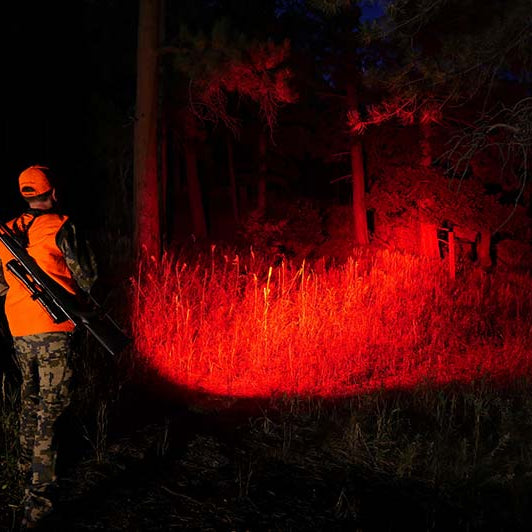 A Guide to Choosing the Perfect Hunting Torch