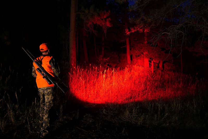 A Guide to Choosing the Perfect Hunting Torch