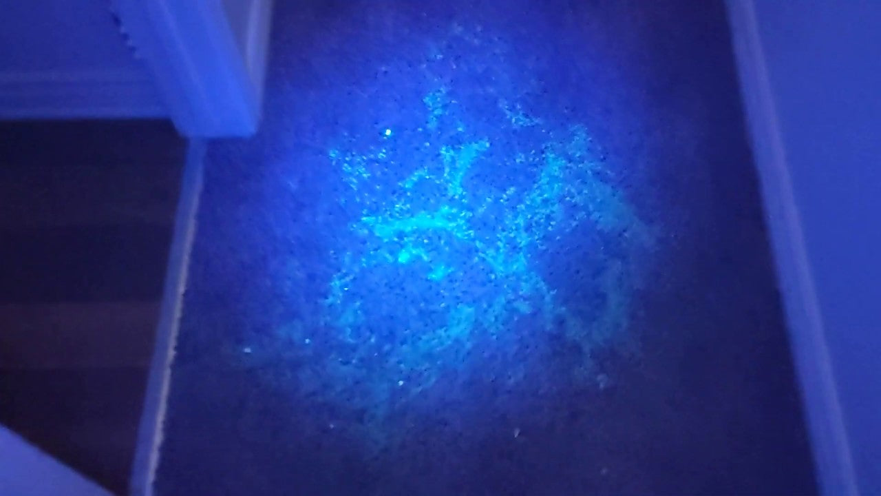 Shining a Light on the Mess: Using UV Torches for Pet Urine Detection
